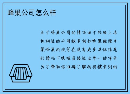 峰巢公司怎么样